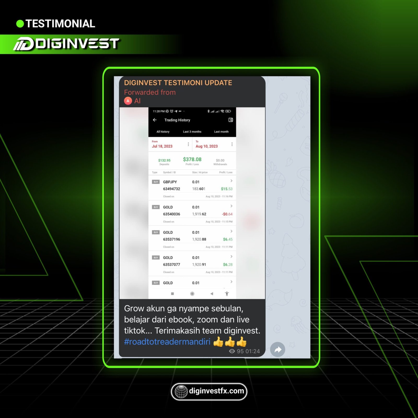 Signal Akurat DiginvestFX